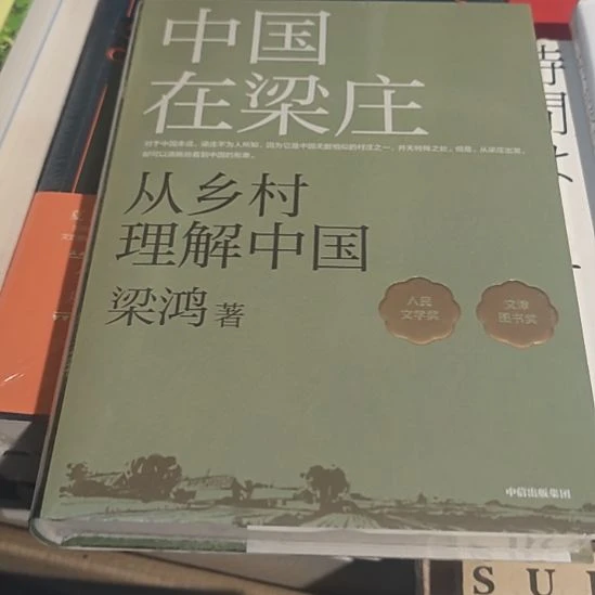 中国在梁庄，从乡村理解中国，梁鸿著。