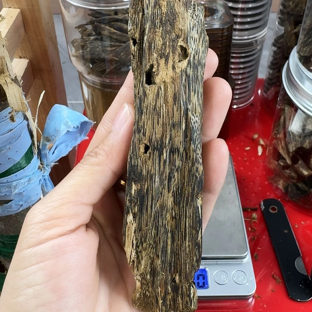 香料绿奇楠虫漏乌身圆叶32克