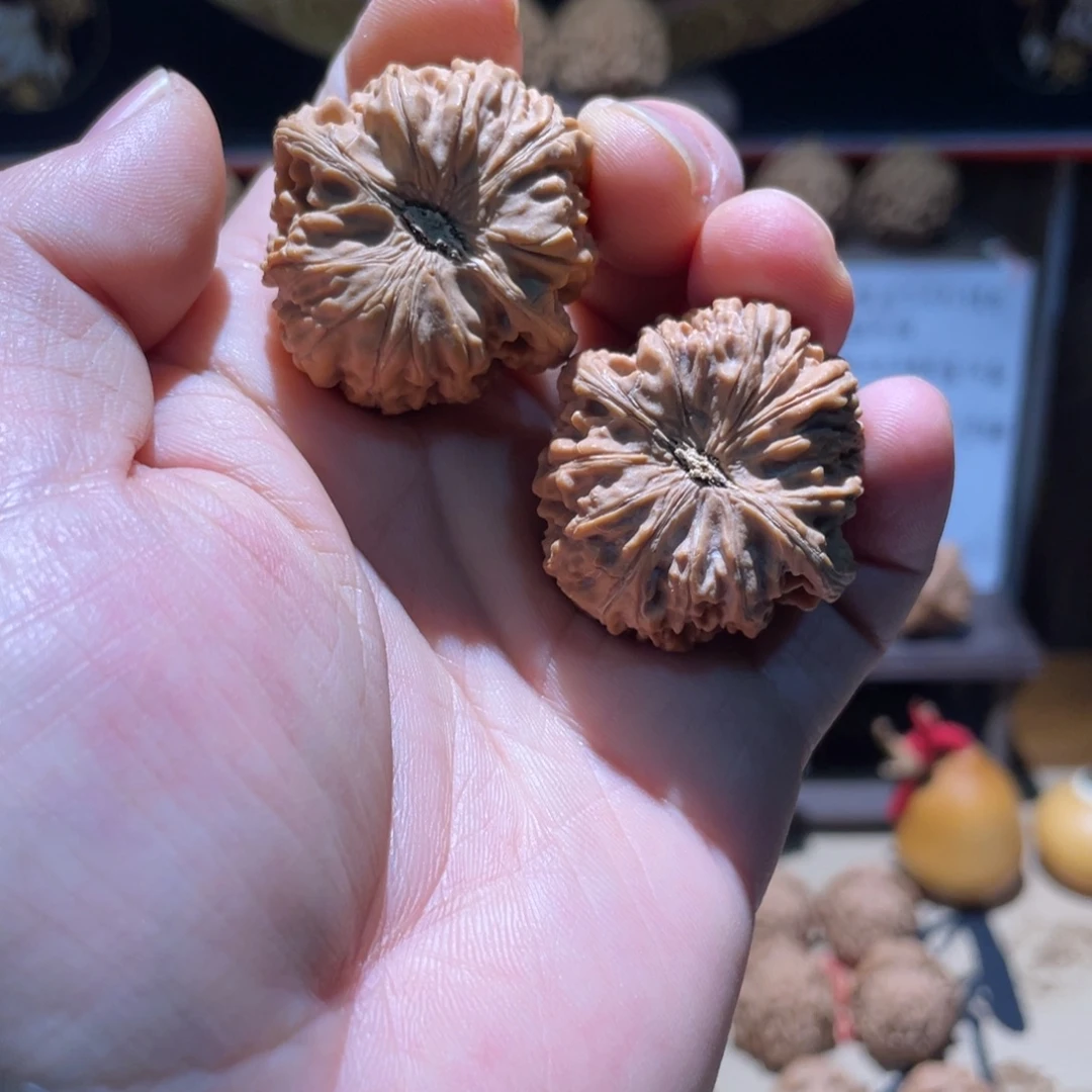 文玩核桃吊坠36尺小野生龙珠