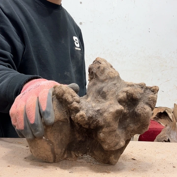 柏木我**？我们的生活也会越来越美好吧