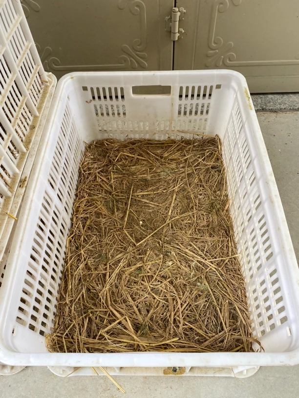 白色塑料收纳筐简约设计实用储物