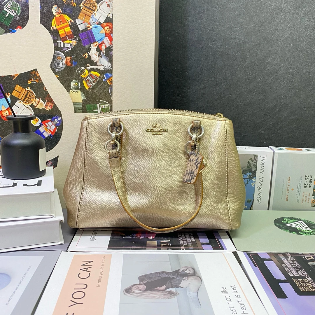 90新 COACH/蔻驰 22871单肩包23*19