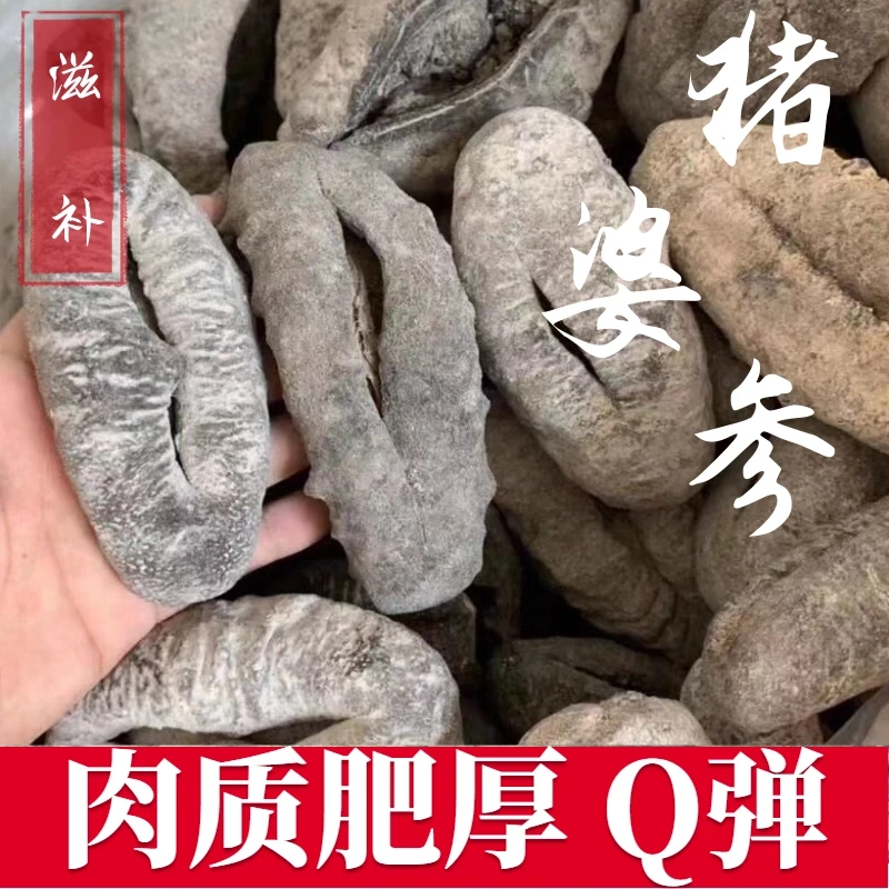 【已禁捕】澳洲猪婆参进口野生海参深海纯淡干 产地源货干货批发