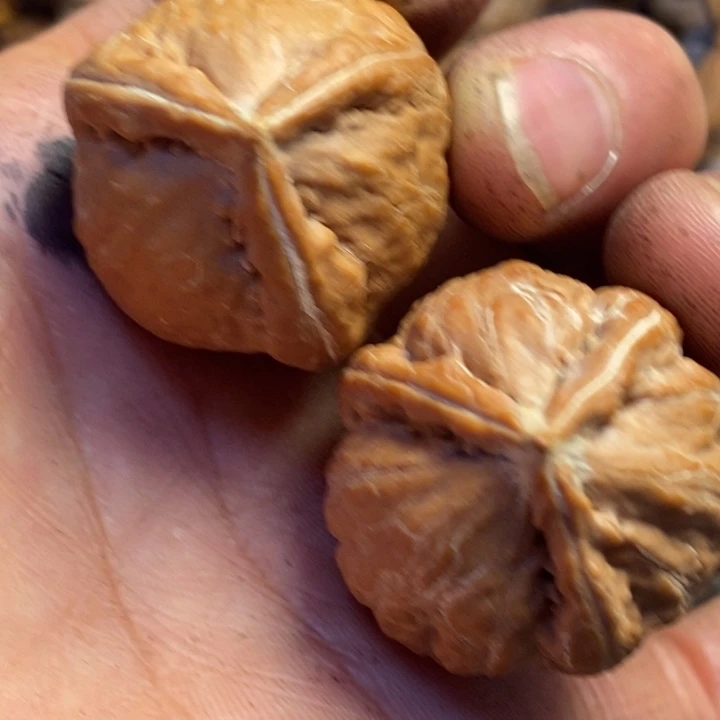 文玩核桃吊坠东北特产220