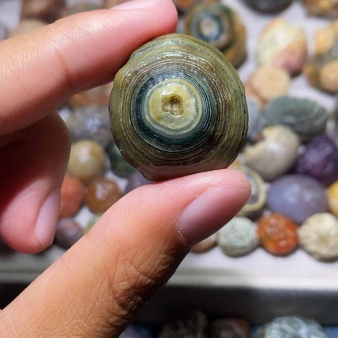 石头精品眼睛单科