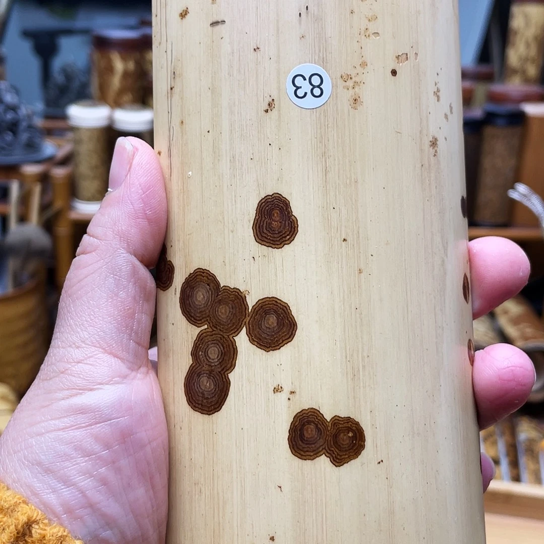 尘**尘老湘妃竹茶则大哥拍下