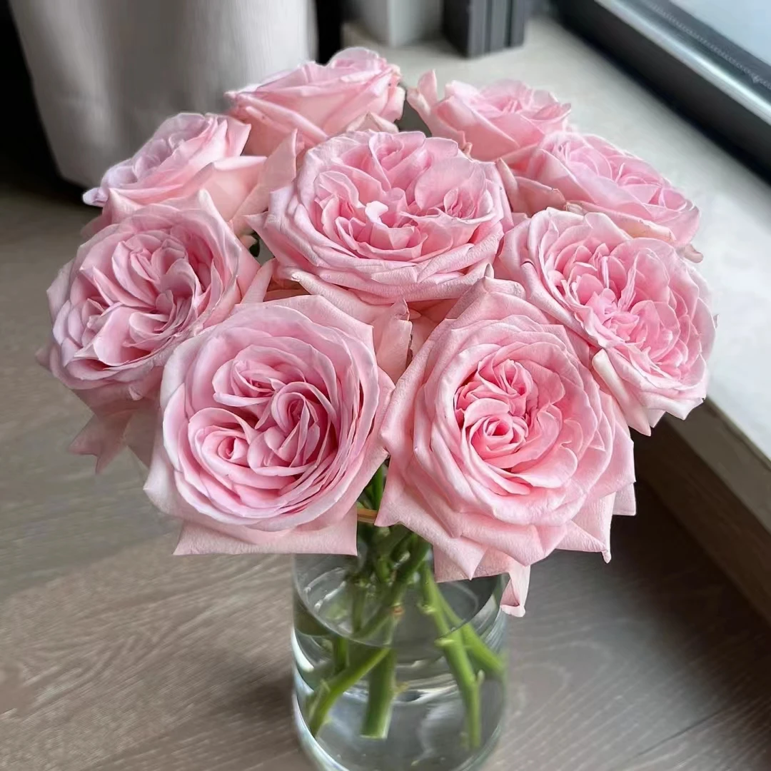 【轶1】香水宝塔18支+2支防损鲜切花玫瑰居家鲜花 收到花带包装醒花