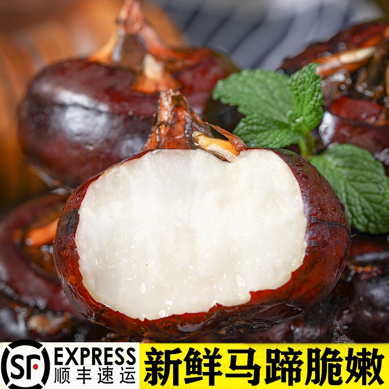 【顺丰快递】广西贺州荔浦新鲜荸荠马蹄脆甜爽口无渣水果现挖现发