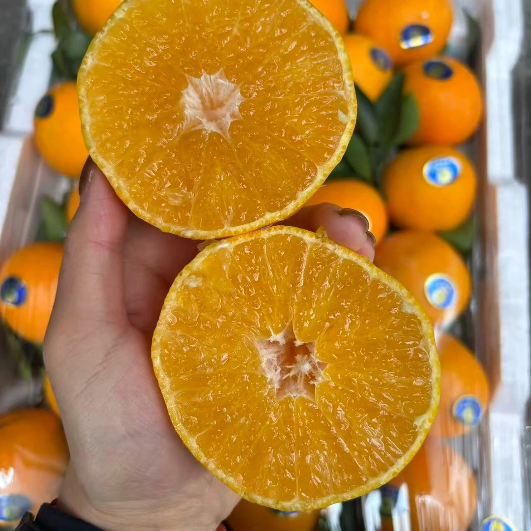 【鲜果速送】福建红美人果冻橙一袋3斤左右（中果）