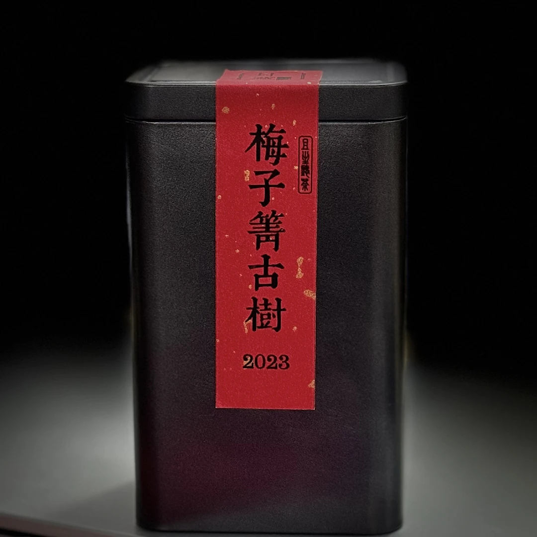 23年梅子箐古树50g一罐/且坐听茶老店销量过百