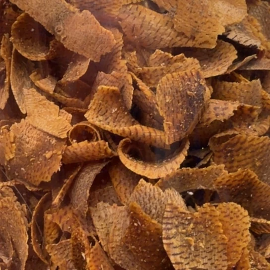 手把件沉香黄棋母树原材料多样性发货10克