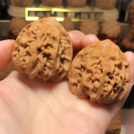 精品野生梨木台全品