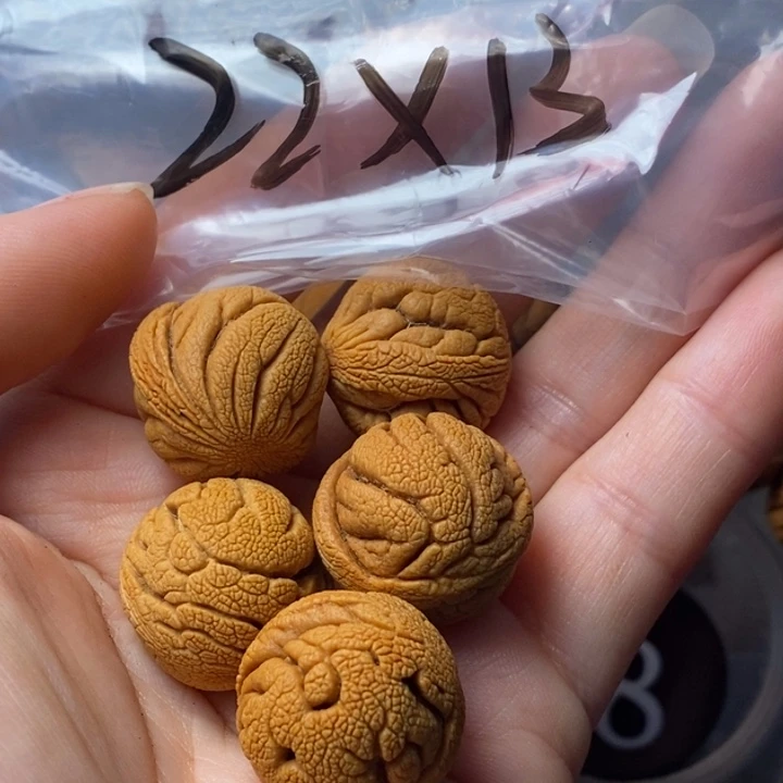 文玩核桃吊坠秦岭野生龙纹桃核22