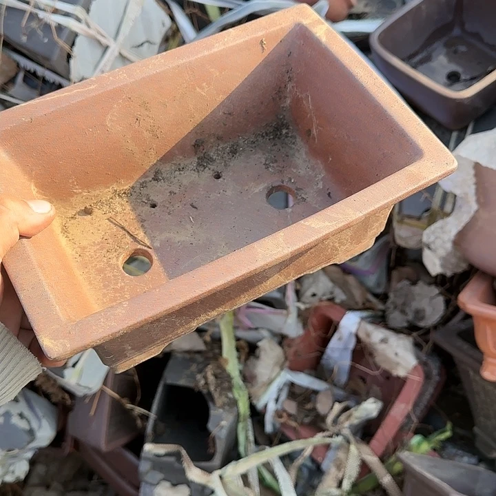 不说算什么呀亲爱的在那你干吧