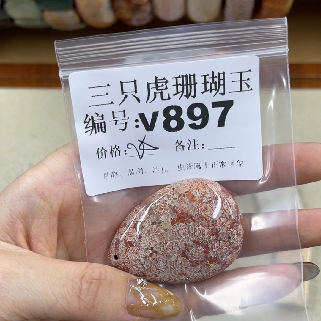 夏***峦硅化珊瑚（珊瑚玉）未镶嵌h
