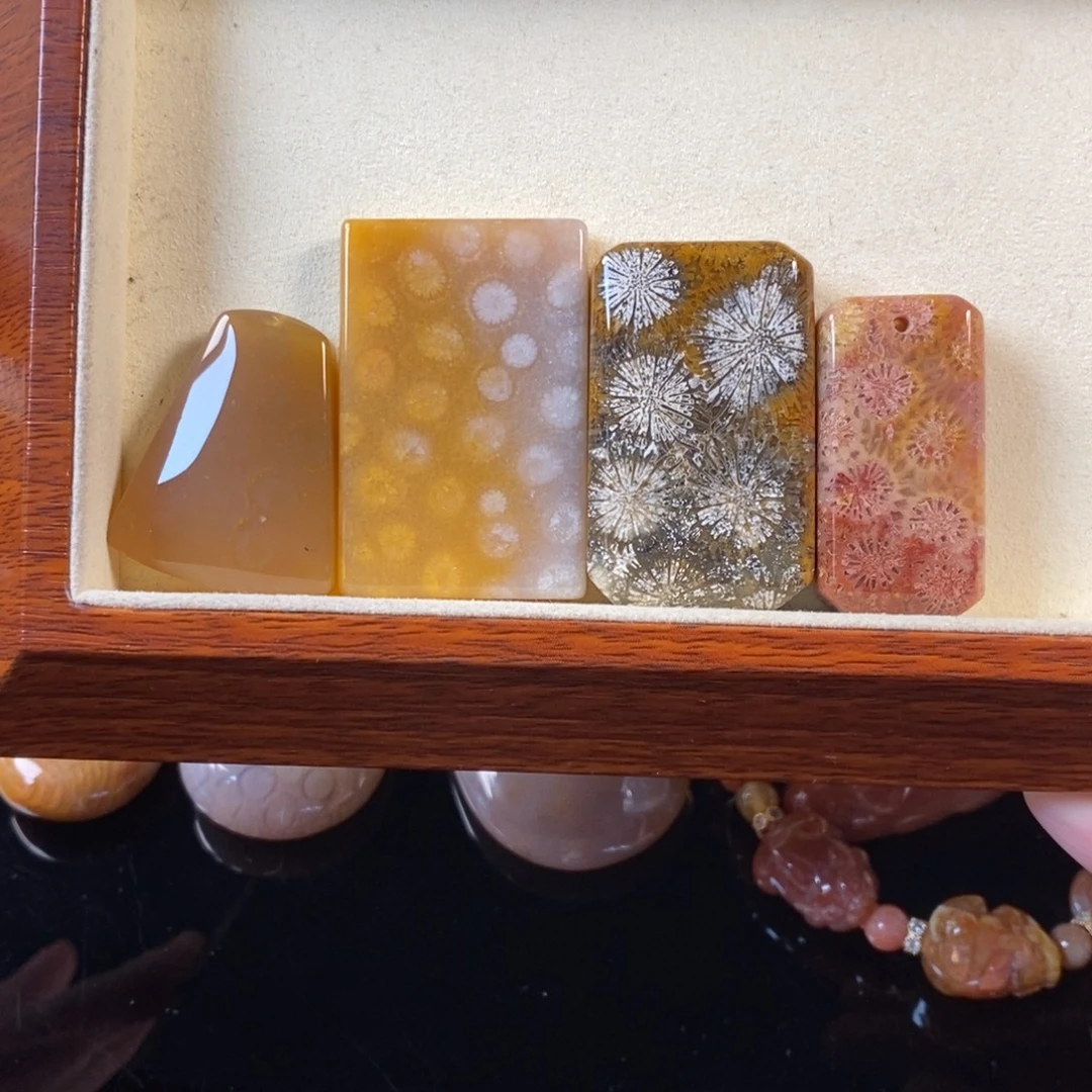 硅化珊瑚（珊瑚玉）未镶嵌颈饰