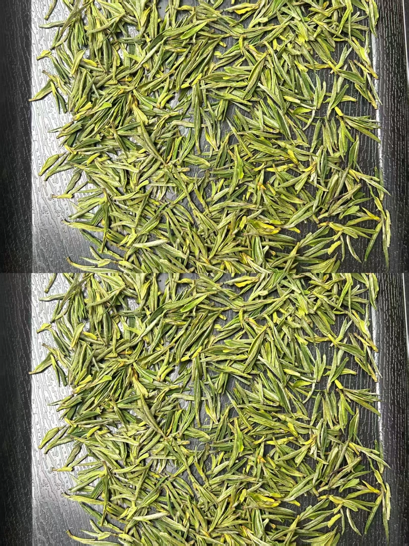 头采特级明前小芽