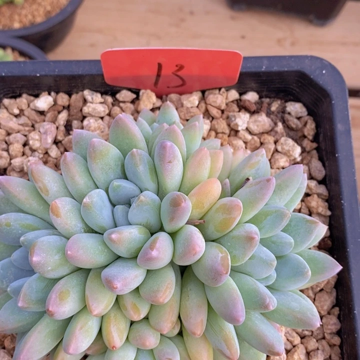 这样做也能有好处呀