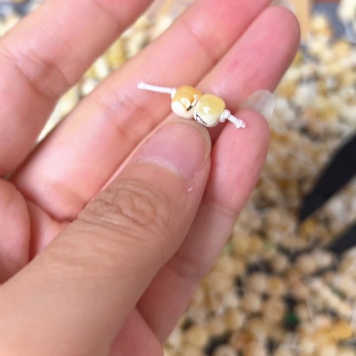 蜜蜡未镶嵌裸石6.5mm一对
