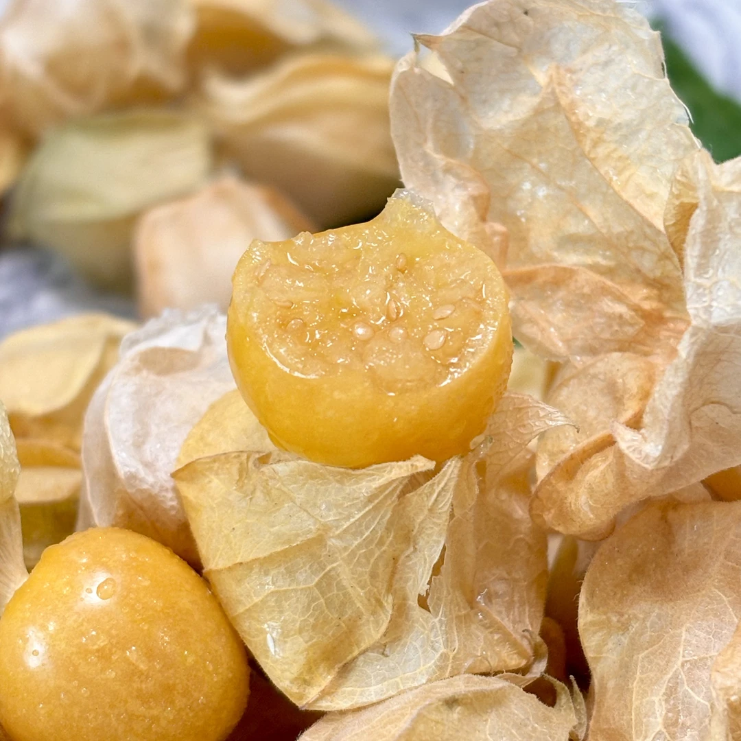 黑龙江新鲜菇娘果菇鸟纯甜奶香精选小果皮薄多汁姑娘果顺丰空运