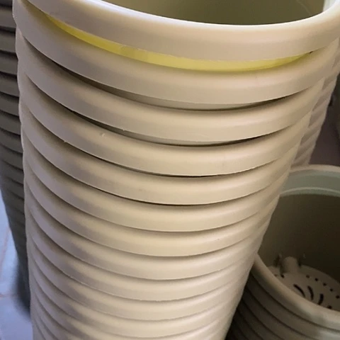 树脂四季3号果绿无托10个特价