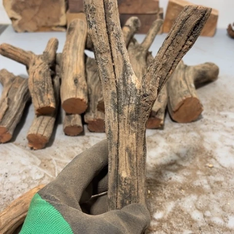 大果紫檀（缅甸花梨）曾***诺