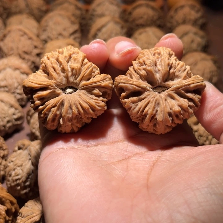 核桃手串/手链?****?南疆42+，43尺寸尖肚让个浮黄点