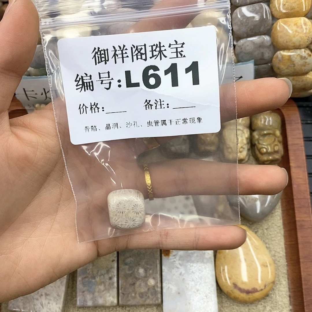 硅化珊瑚（珊瑚玉）L未镶嵌T***a