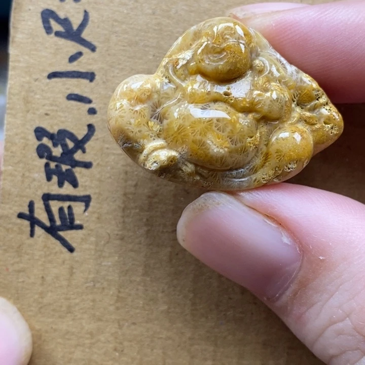硅化珊瑚（珊瑚玉）未镶嵌颈饰