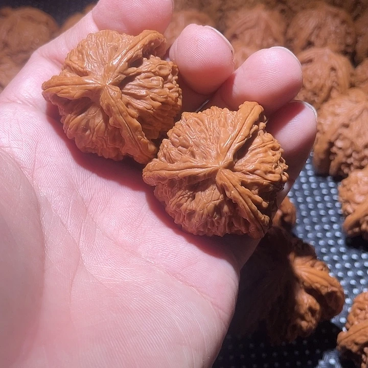 知***凡大叶紫檀（黑酸枝木类）