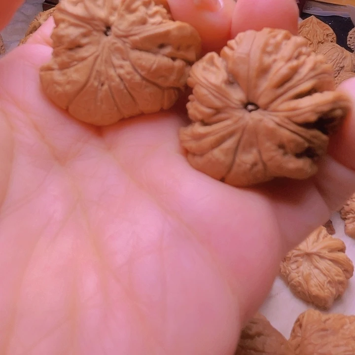 朗***神核桃核桃核桃核桃