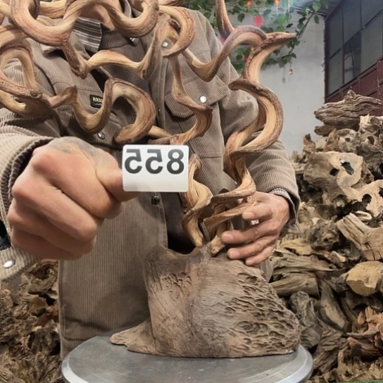 二*一紫砂啦啦啦啦啦啦