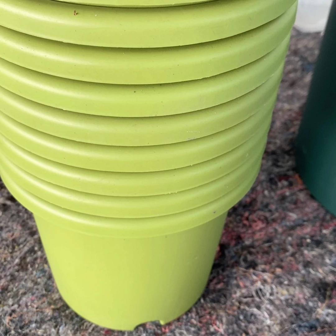 树脂10个17口果绿瑕疵无托