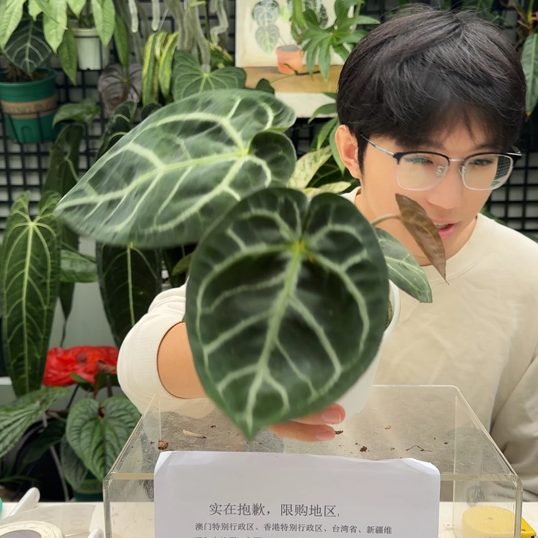完全开放I142黑泡泡杂撕裂纹