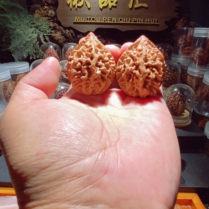 文玩核桃把件握**锋九龙筋