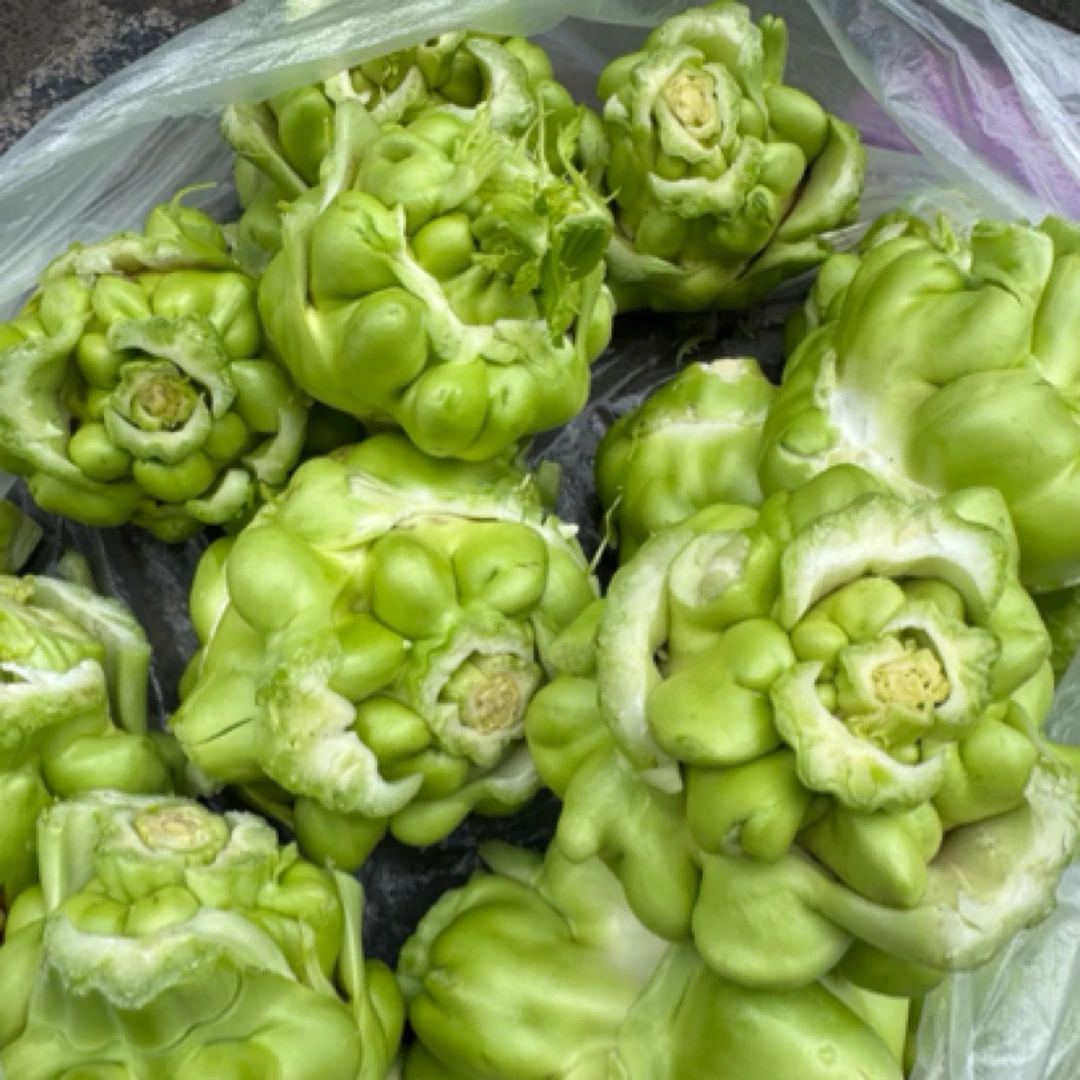 正宗重庆农家新鲜榨菜青菜大头菜清脆绿色蔬菜农家肥不打药