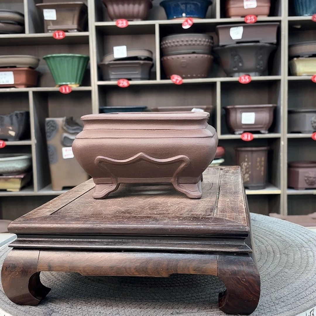 紫砂花盆喜*洋紫砂的颜色很好看