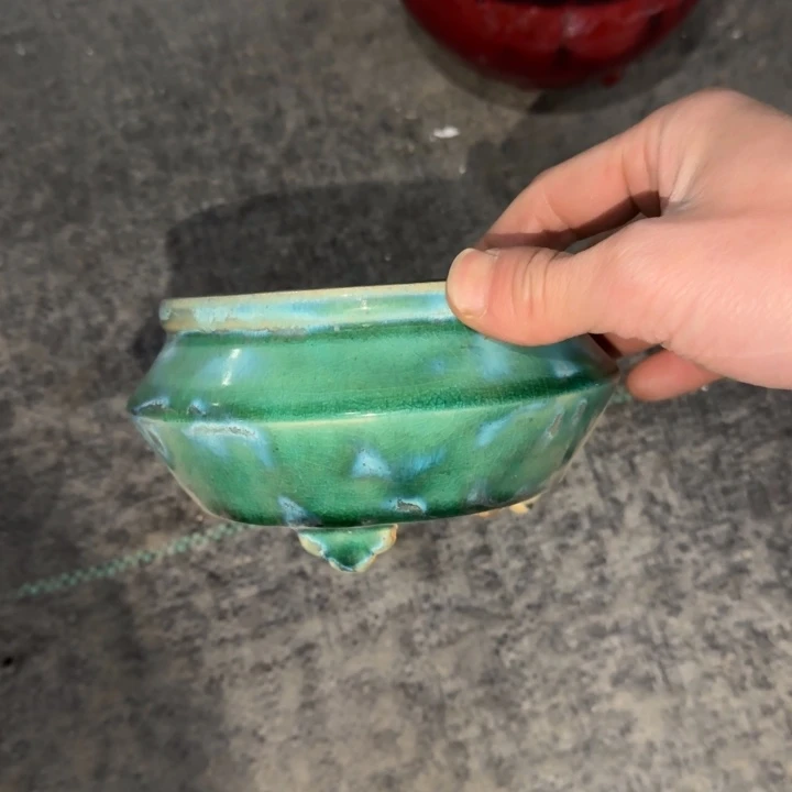 红陶年底最后一波玩的开心