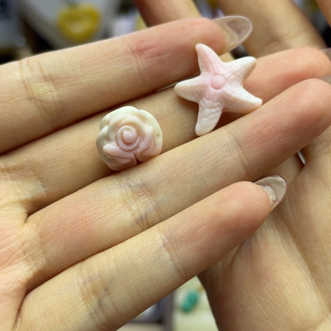 非金属贝壳P****o玫瑰海星
