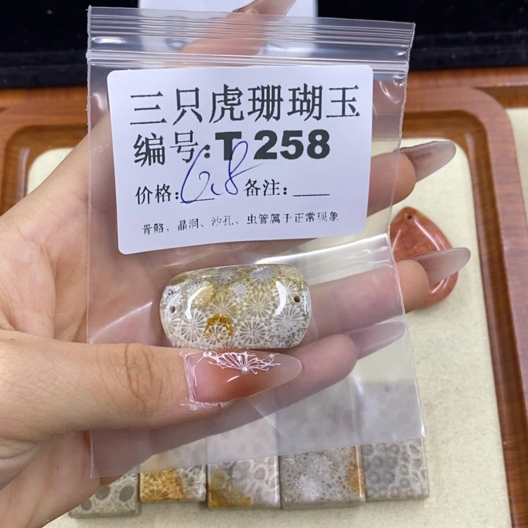 硅化珊瑚（珊瑚玉）1足银镀金镶嵌江*