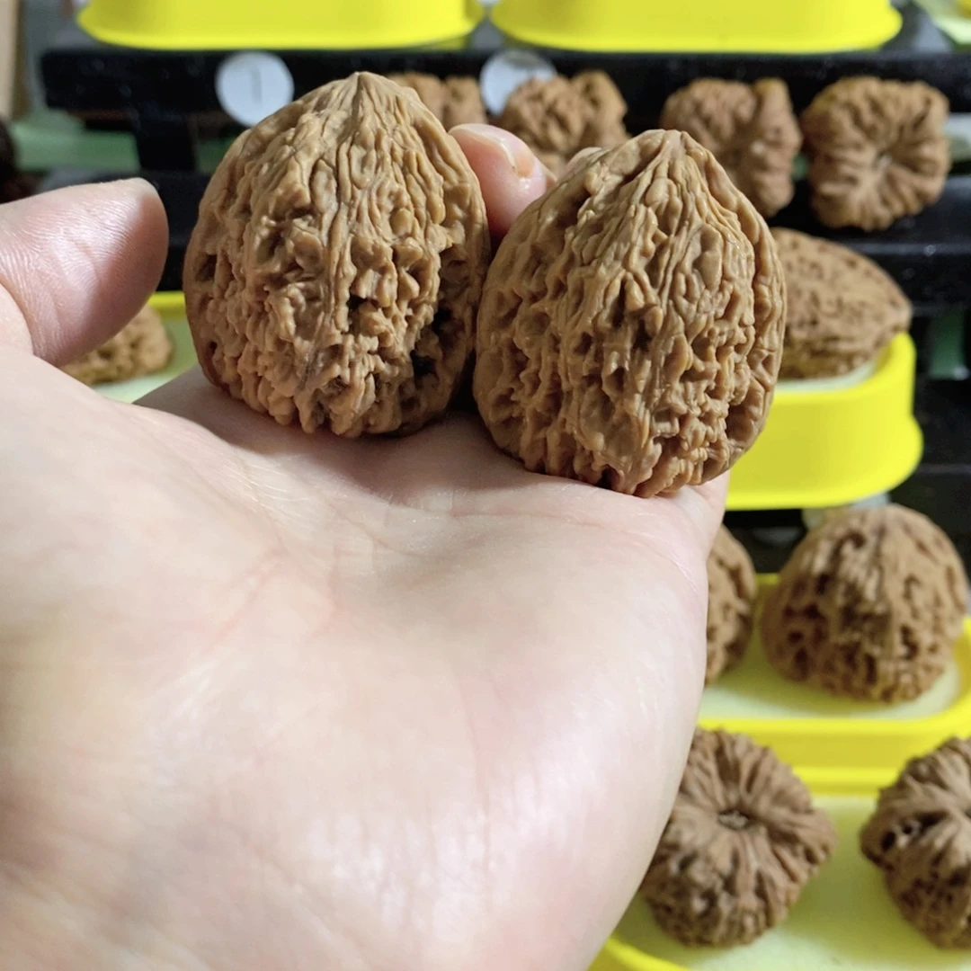 天***知木质类今天是不是要来