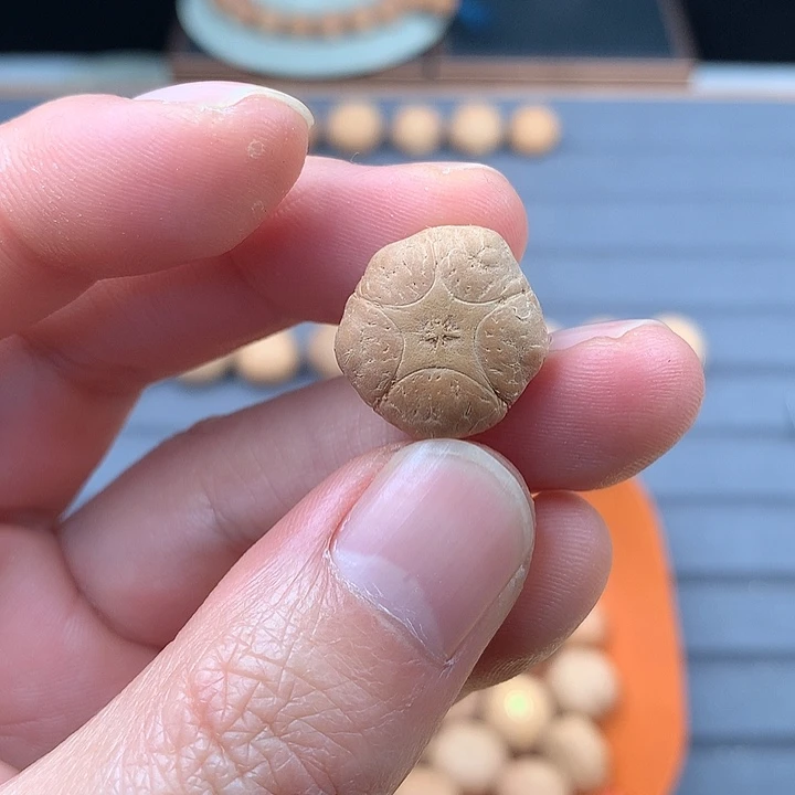 吊坠凤眼菩提微裂18+五星，非质量问题开孔不退