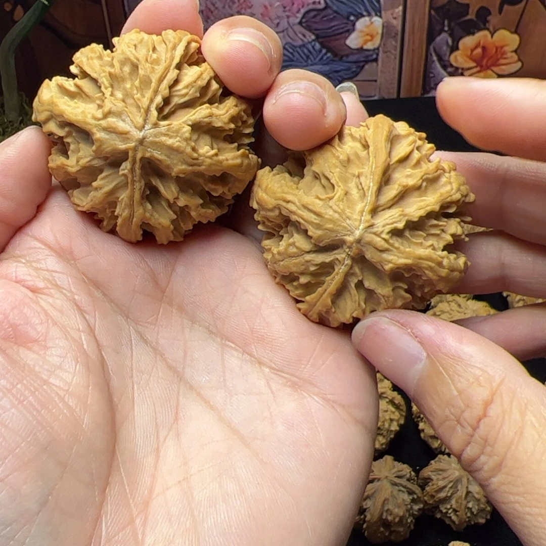 文玩核桃把件秦岭野生文玩核桃