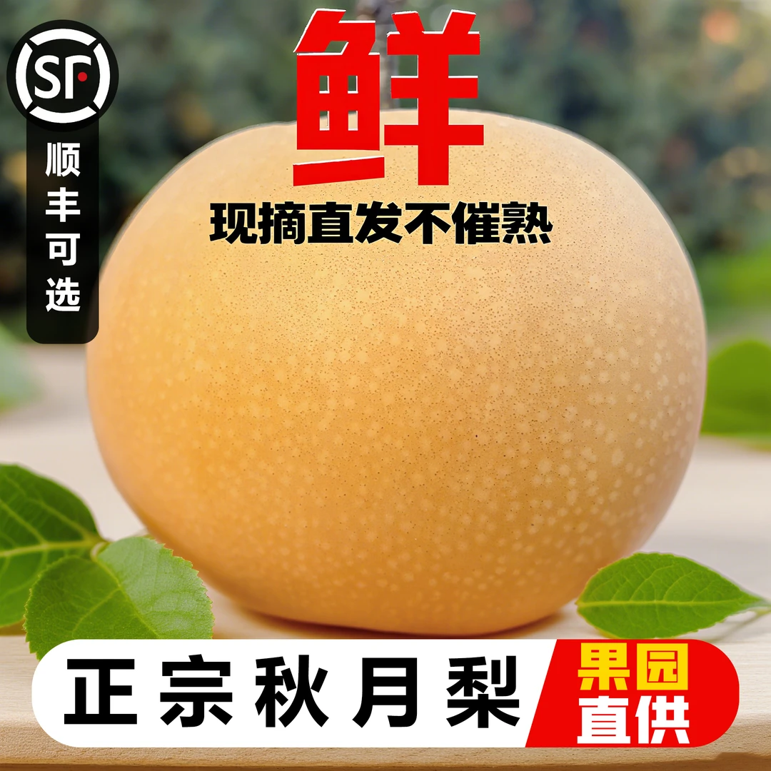 【正宗】新鲜脆甜多汁应季水果好礼纯正南水果梨子女生熬夜必备水果