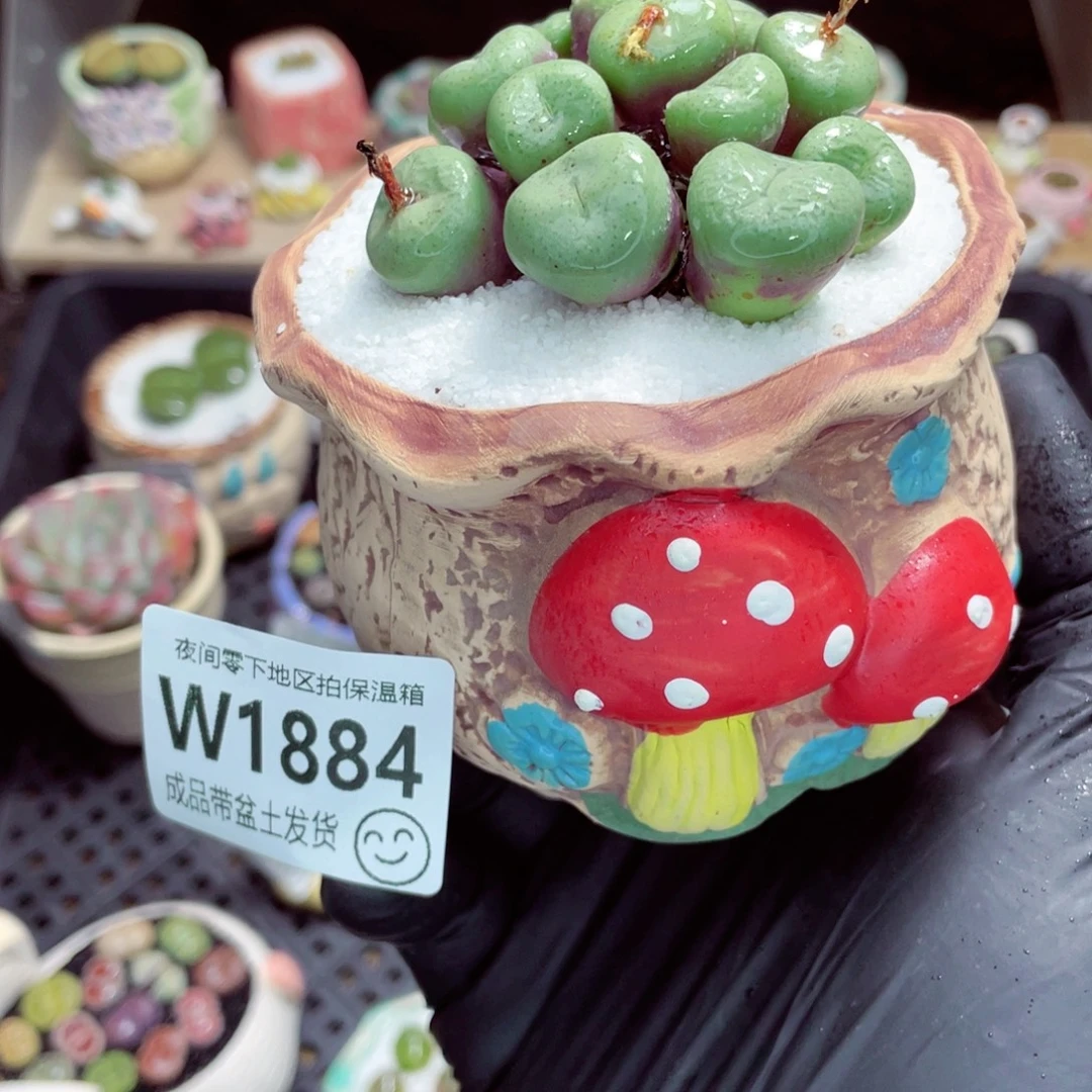 夜间零下地区拍保温箱w1884
