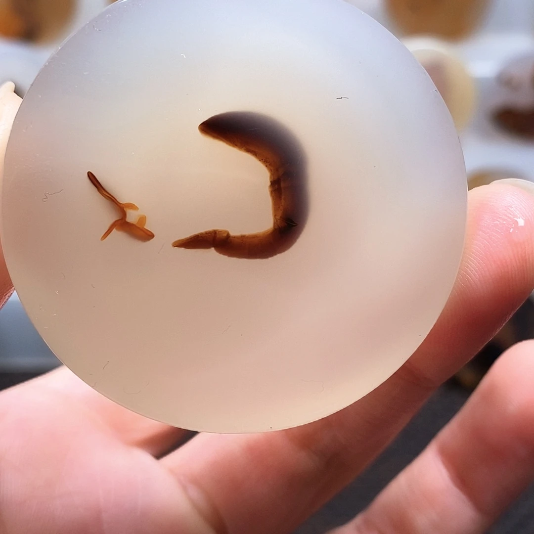 玛瑙/玉髓合金珠宝奇石