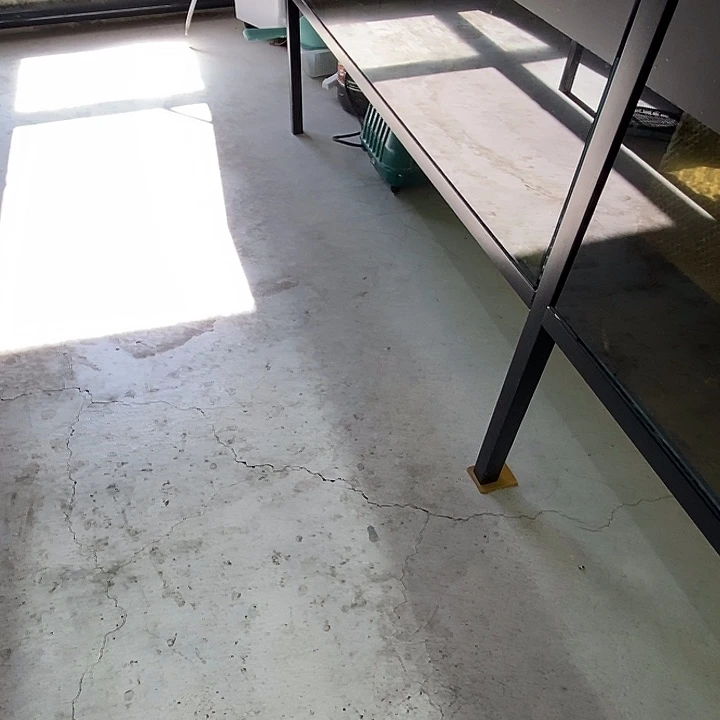 孔雀鱼5种玻璃猫苗子26条