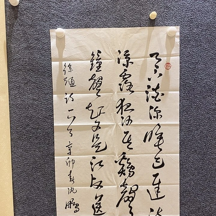 带灯款超*沈老师带书