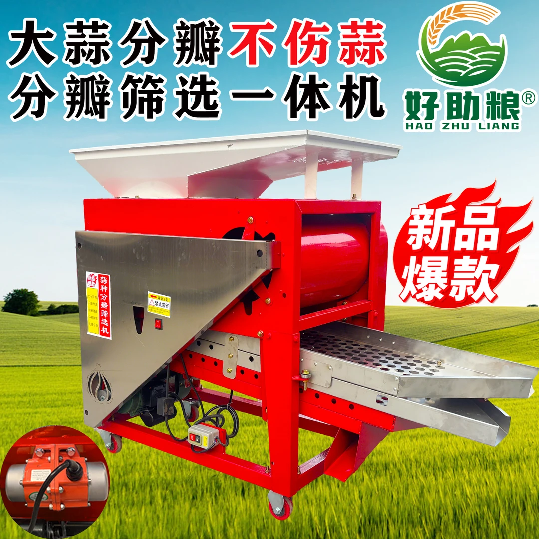 2025新款高配大蒜分瓣机 蒜种分粒电动款带吹风 分瓣筛选一体机