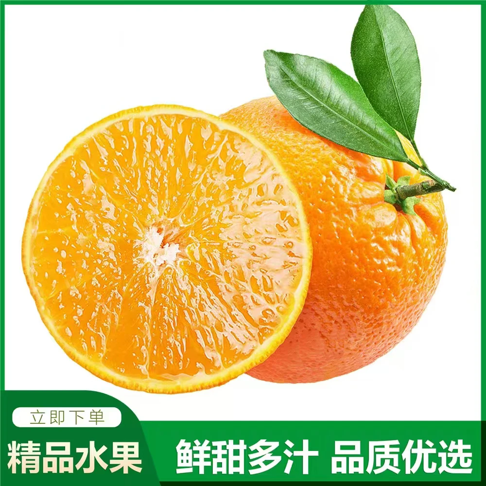 【门店热卖】甄选奉节脐橙(中果单果200克左右)5斤
